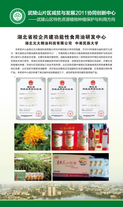 說明:團隊工程中心 (2)