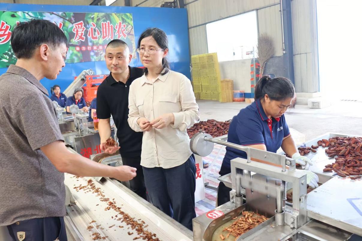 4403e5cf2160c5477cecea87d3af163f